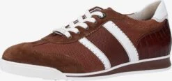 Lloyd Casual Sneakers Sneakers Laag Heren Pueblo