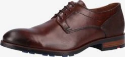 Lloyd Nette Schoenen Veterschoen Heren Kastanjebruin