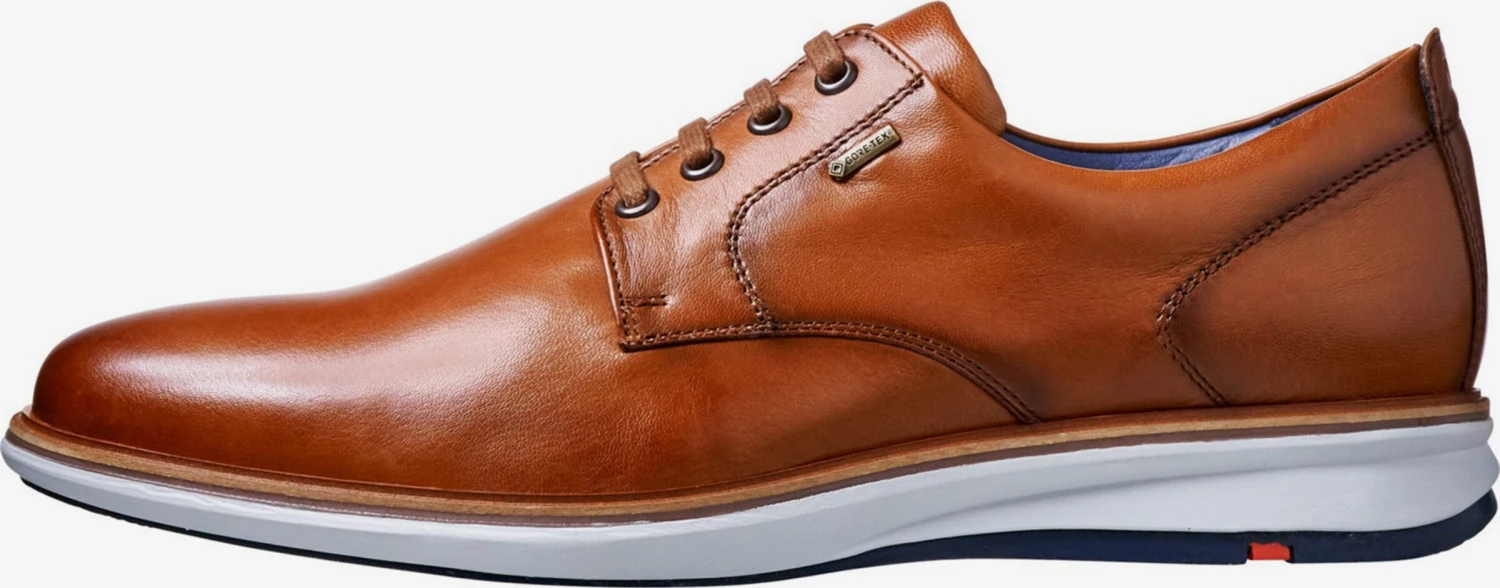 Lloyd Nette Schoenen Veterschoen VIN Heren Bruin 1 Lloyd Nette Schoenen Veterschoen VIN Heren Bruin