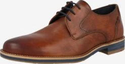 Lloyd Nette Schoenen Veterschoen Langston Heren Bruin