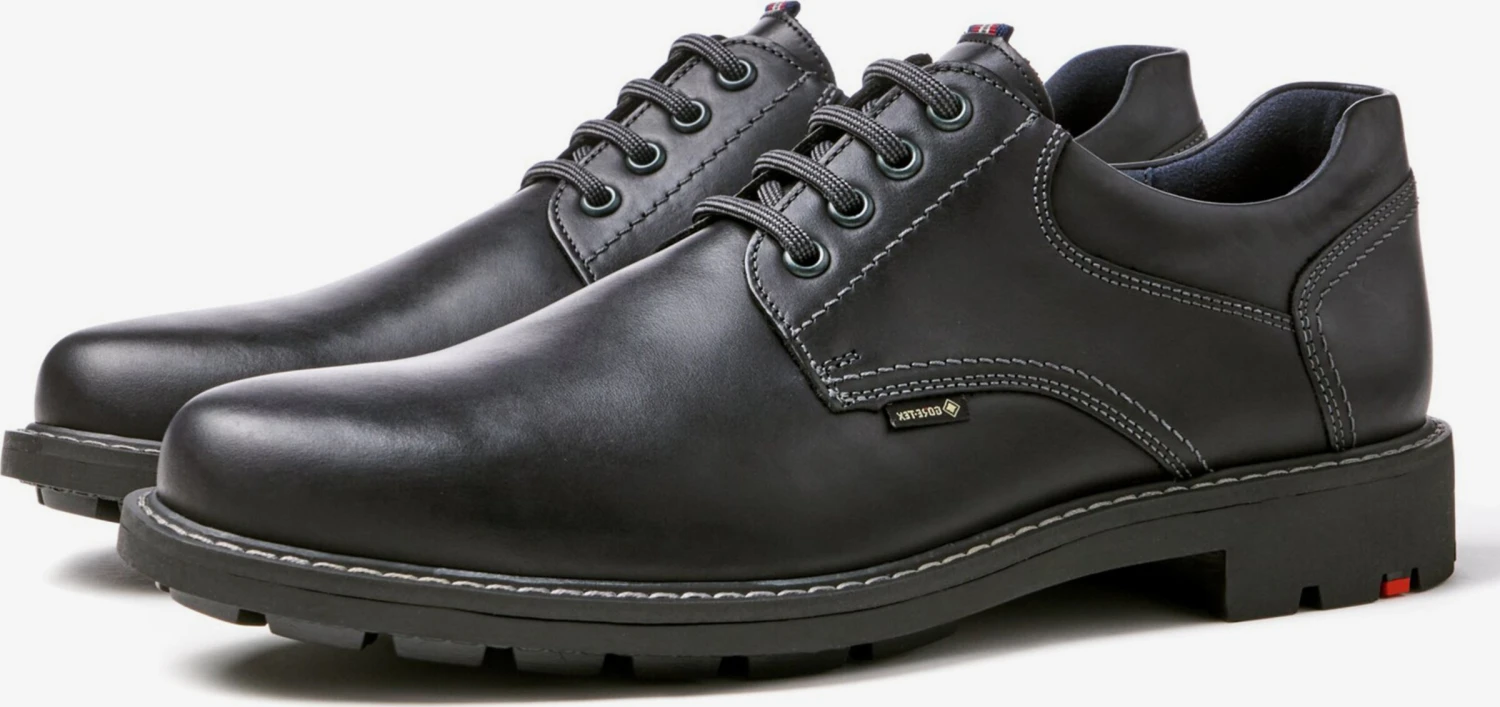 Lloyd Nette Schoenen Veterschoen VANJA Heren Zwart 1 Lloyd Nette Schoenen Veterschoen VANJA Heren Zwart