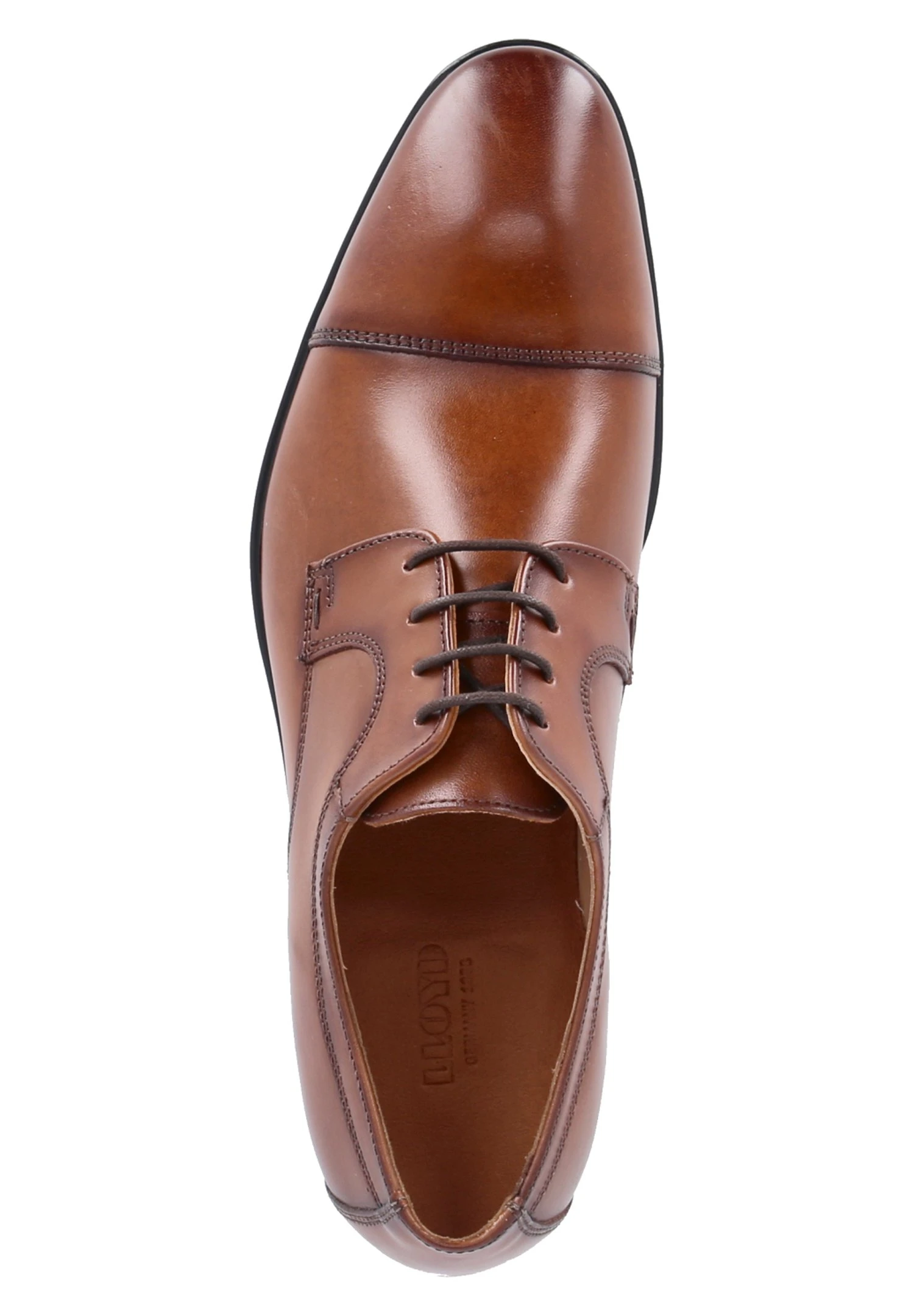 Lloyd Leo - Veterschoenen - Braun 3 Lloyd Leo - Veterschoenen - Braun - Afbeelding 3