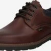 Lloyd Casual Veterschoenen Veterschoen Vanja Heren Bruin