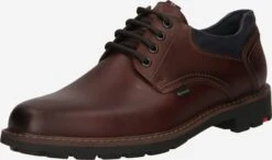 Lloyd Casual Veterschoenen Veterschoen Vanja Heren Bruin