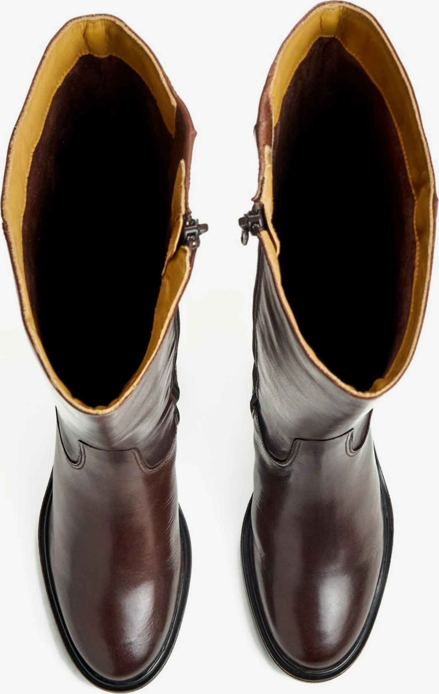 Lloyd Klassieke Laarzen Laarzen Dames Bruin 4 Lloyd Klassieke Laarzen Laarzen Dames Bruin - Afbeelding 4