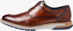 Lloyd Nette Schoenen Veterschoen Heren Bruin