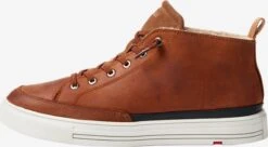 Lloyd Hoge Sneakers Sneakers Hoog EDWARD Heren Bruin