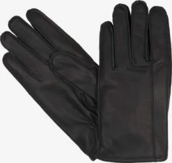 Lloyd Handschoenen Vingerhandschoenen Heren Zwart