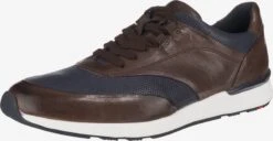 Lloyd Casual Sneakers Sneakers Laag Arturo Heren Donkerbruin
