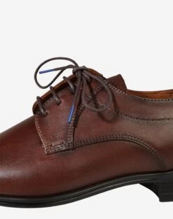 Lloyd Nette Schoenen Veterschoen Osmond Heren Donkerbruin -Lloyd Mode Schoenenwinkel 4731344e64f7497e75cb003149c4934e