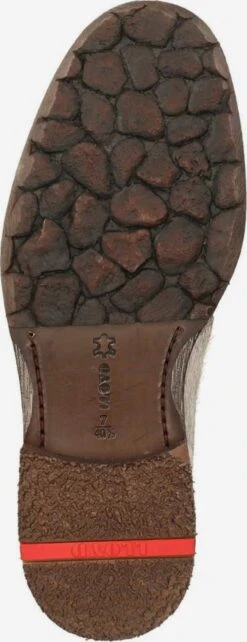 Lloyd Enkellaarsjes Veterlaarsjes Dames Grijs -Lloyd Mode Schoenenwinkel 5455e2c951d209a37844cf31296b019c