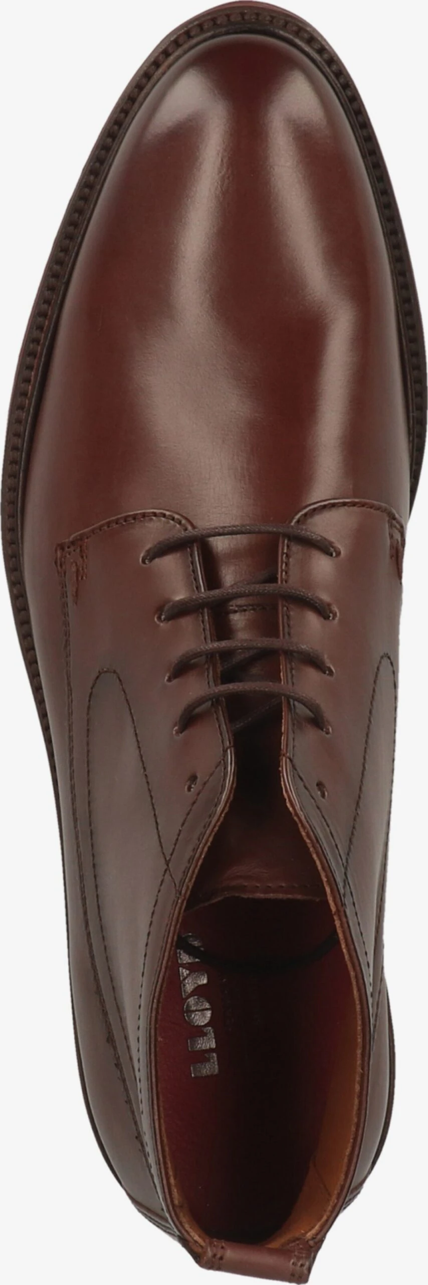 Boots & Laarzen Veterboots Heren Donkerbruin 6 Boots & Laarzen Veterboots Heren Donkerbruin - Afbeelding 6