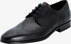 Lloyd Nette Schoenen Veterschoen Morton Heren Zwart