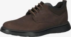 Lloyd Casual Veterschoenen Veterschoen Heren Bruin