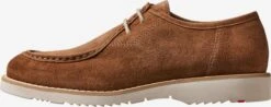 Lloyd Nette Schoenen Veterschoen LEVI Heren Bruin