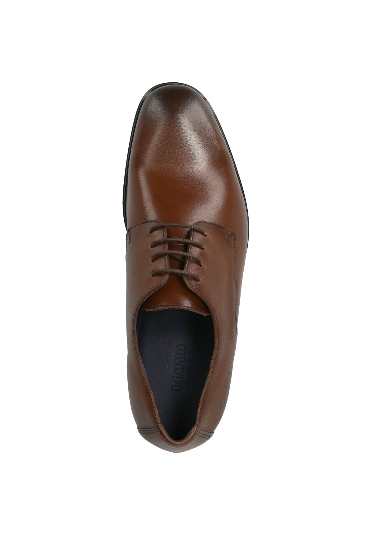 Lloyd Fonda - Veterschoenen - Braun 3 Lloyd Fonda - Veterschoenen - Braun - Afbeelding 3