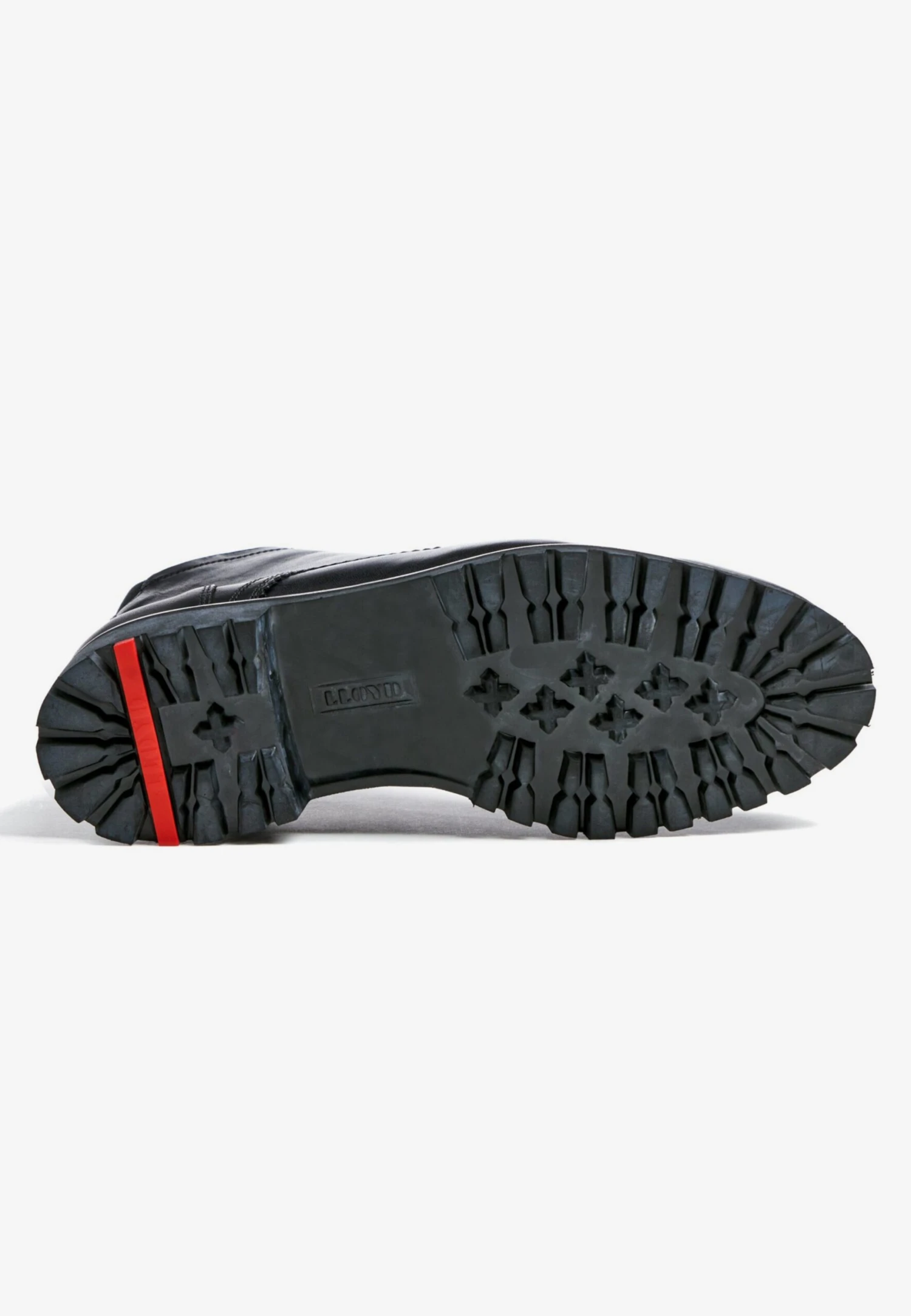 Lloyd Boots & Laarzen Laarzen Heren Zwart 5 Lloyd Boots & Laarzen Laarzen Heren Zwart - Afbeelding 5