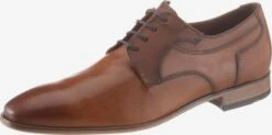 Lloyd Nette Schoenen Veterschoen Dargun Heren Cognac