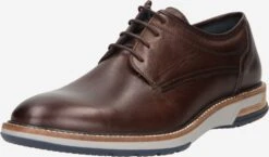Lloyd Casual Veterschoenen Veterschoen Garcia Heren Bruin