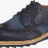 Lloyd Casual Veterschoenen Veterschoen Heren Kobaltblauw / Duifblauw