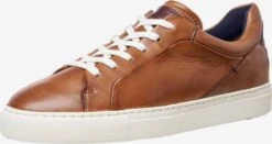 Lloyd Casual Sneakers Sneakers Laag Majuro Heren Karamel / Donkerbruin