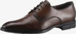 Lloyd Nette Schoenen Veterschoen Gideon Heren Bruin