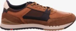 Lloyd Hoge Sneakers Sneakers Hoog Heren Bruin / Cognac -Lloyd Mode Schoenenwinkel 852eba29f1b6fd9704c9d7aba9b4ef96