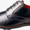 Lloyd Nette Schoenen Veterschoen Heren Blauw