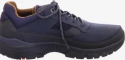 Lloyd Trending Veterschoen Heren Blauw 8 Lloyd Trending Veterschoen Heren Blauw -Lloyd Mode Schoenenwinkel 90cd9d24423b4a26ed094a5fbe4021f2