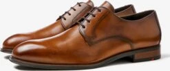 Lloyd Nette Schoenen Veterschoen Sabre Heren Cognac