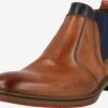 Lloyd Enkelboots Chelsea Boots Halford Heren Bruin