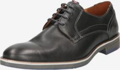 Lloyd Nette Schoenen Veterschoen Haldan Heren Zwart