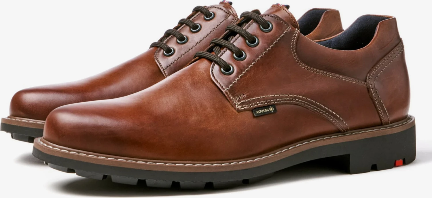 Lloyd Nette Schoenen Veterschoen VANJA Heren Bruin 1 Lloyd Nette Schoenen Veterschoen VANJA Heren Bruin