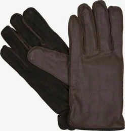 Lloyd Handschoenen Vingerhandschoenen Dames Bruin