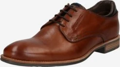 Lloyd Nette Schoenen Veterschoen MASSIMO Heren Bruin