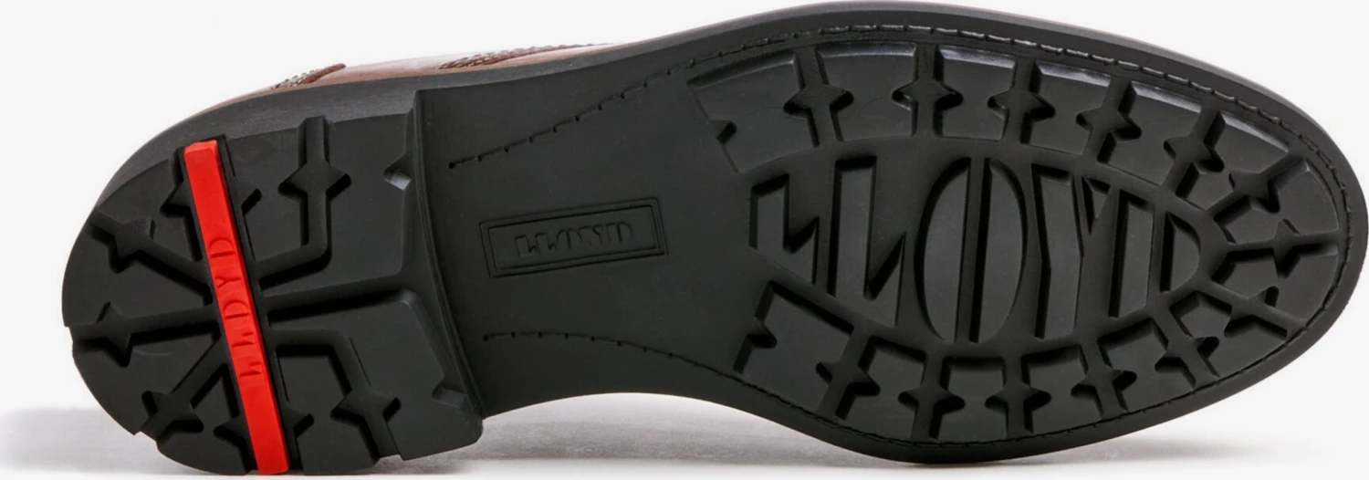 Lloyd Nette Schoenen Veterschoen VANJA Heren Bruin 4 Lloyd Nette Schoenen Veterschoen VANJA Heren Bruin - Afbeelding 4