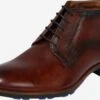Lloyd Nette Schoenen Veterschoen Jaron Heren Kastanjebruin