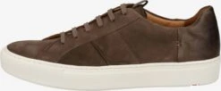 Lloyd Lage Sneakers Sneakers Laag Heren Bruin