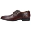 Lloyd Veterschoenen - Brown