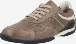 Lloyd Casual Sneakers Sneakers Laag Baltimore Heren Greige