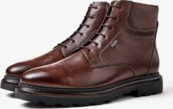 Lloyd Boots & Laarzen Laarzen VINE Heren Bruin