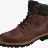 Lloyd Boots & Laarzen Veterboots Flavio Heren Bruin