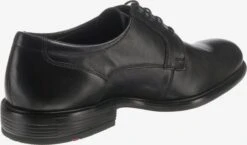 Lloyd Nette Schoenen Veterschoen Kajak Heren Zwart 9 Lloyd Nette Schoenen Veterschoen Kajak Heren Zwart -Lloyd Mode Schoenenwinkel d402454aa96b1c6e79b73da2008e4db3
