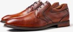 Lloyd Nette Schoenen Veterschoen MONTY Heren Cognac