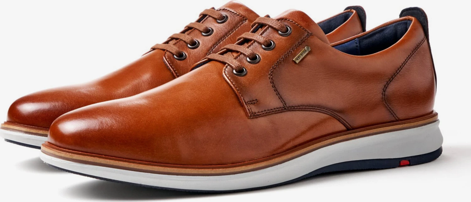 Lloyd Nette Schoenen Veterschoen VIN Heren Bruin 3 Lloyd Nette Schoenen Veterschoen VIN Heren Bruin - Afbeelding 3