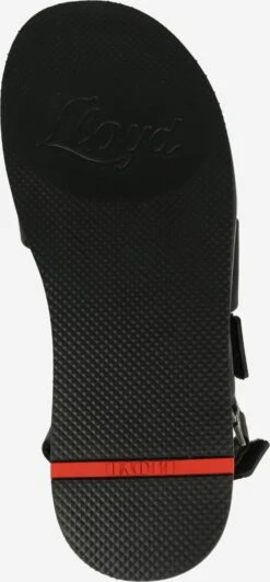 Lloyd Sandalen & Pantoffels Sandalen Heren Zwart -Lloyd Mode Schoenenwinkel e0e9b8225aac8f999f573629f4bbb3b4