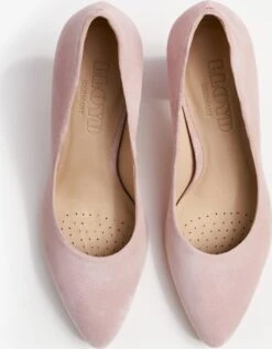 Lloyd Pumps & Hakken Pumps Dames Pink / Lichtroze -Lloyd Mode Schoenenwinkel ebea9f57044af0eb5cc991fb095262a4