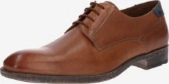Lloyd Nette Schoenen Veterschoen Dalva Heren Bruin