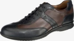 Lloyd Casual Veterschoenen Veterschoen Bernard Heren Bruin