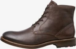 Lloyd Boots & Laarzen Veterboots DUAL Heren Bruin